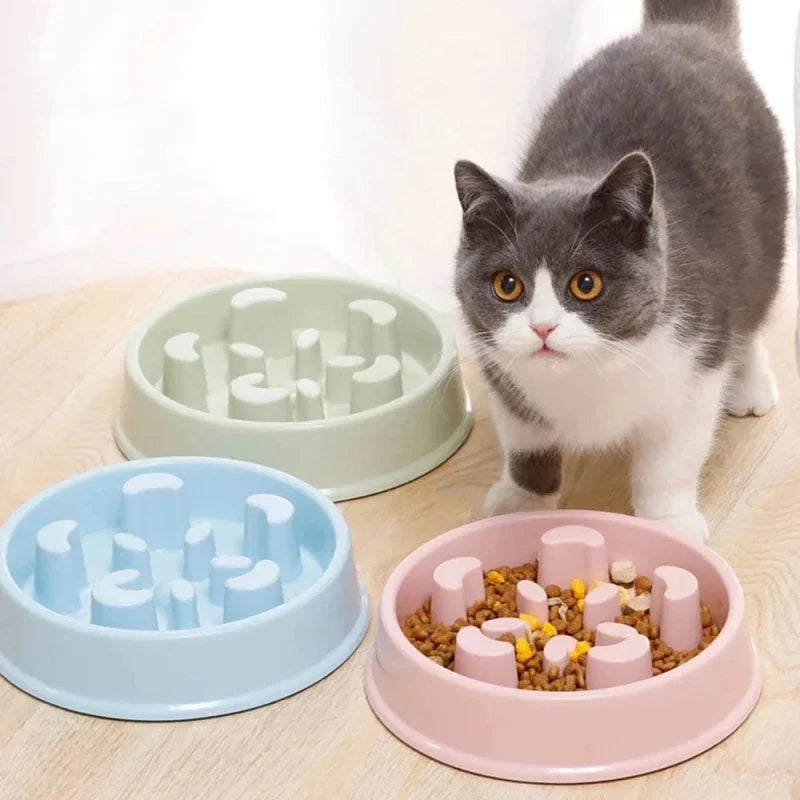 Gamelle Labyrinthe Anti-Glouton Chat