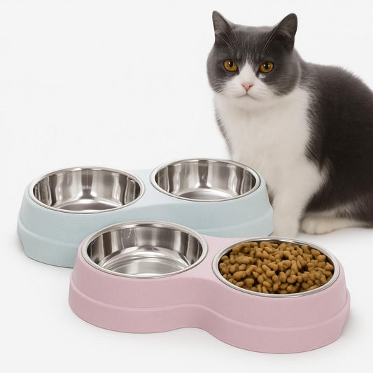 Bol Double Inox Chat - Hygiène et Durabilité