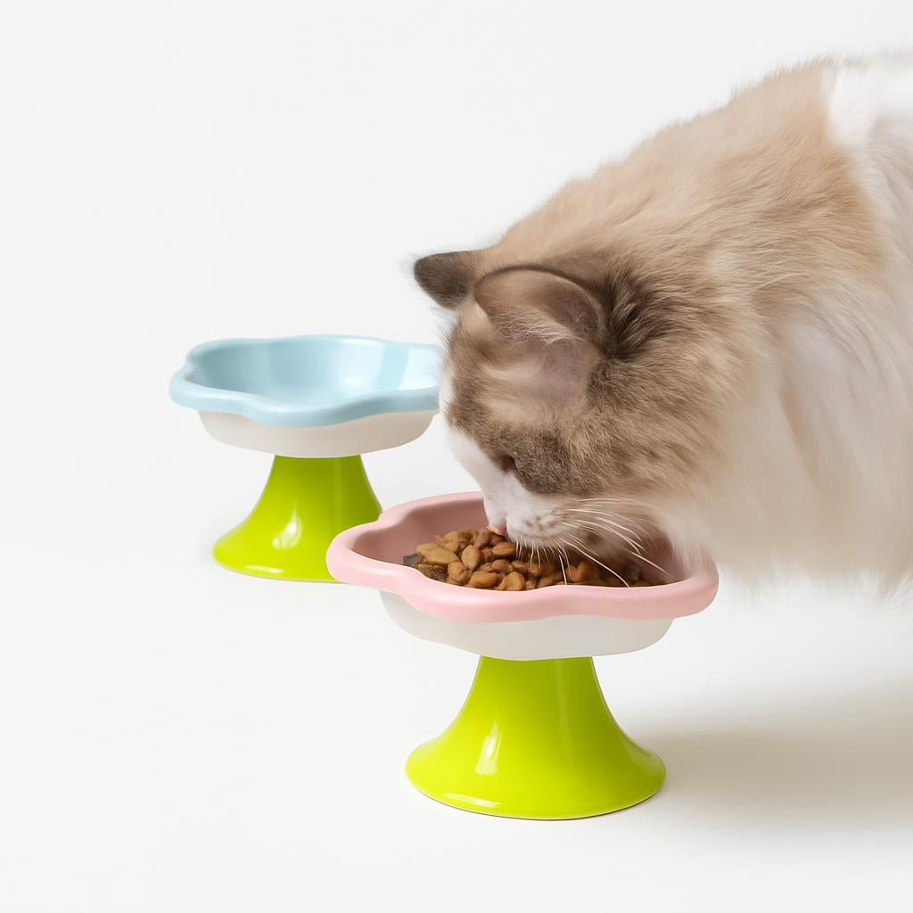 Gamelle Antidérapante Élevée Chaton