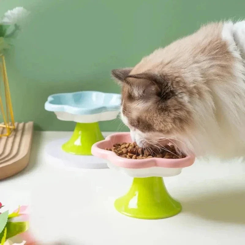 Gamelle Antidérapante Élevée Chaton