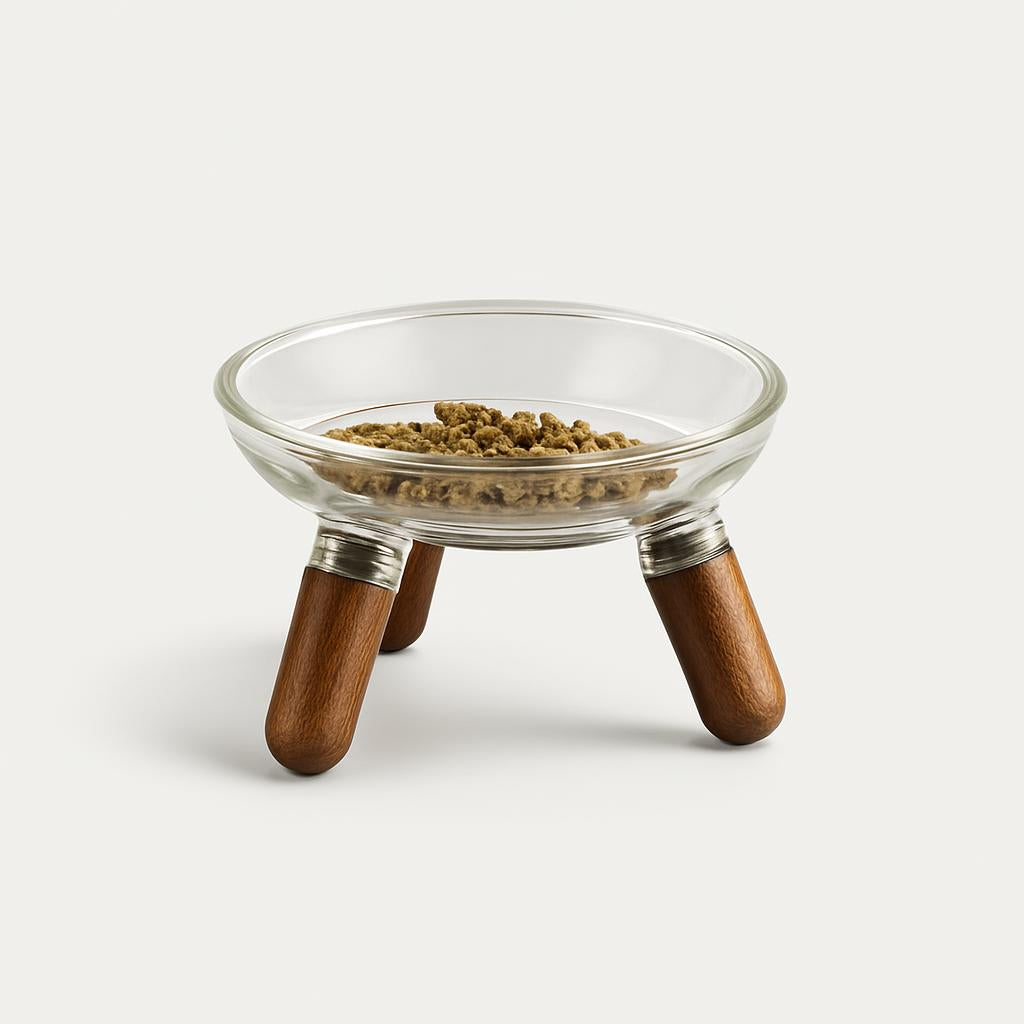 Gamelle surélevée en verre pour chat - Style moderne