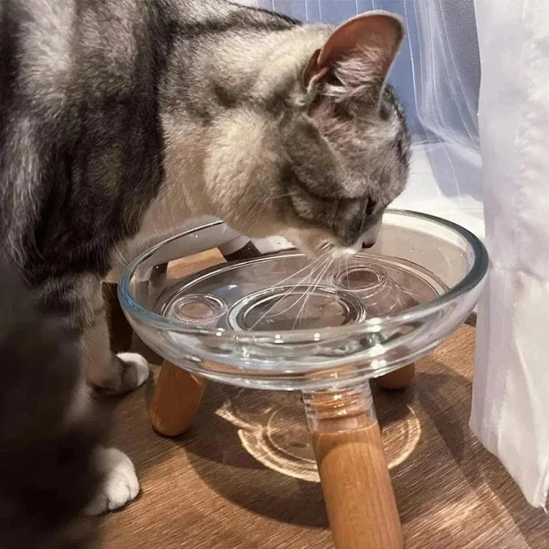 Gamelle surélevée en verre pour chat - Style moderne