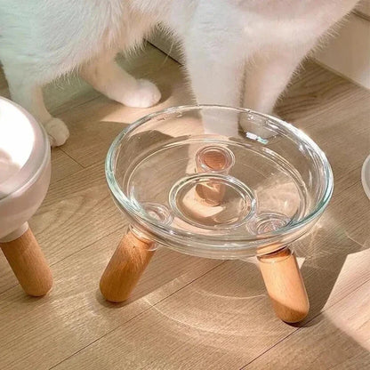 Gamelle surélevée en verre pour chat - Style moderne