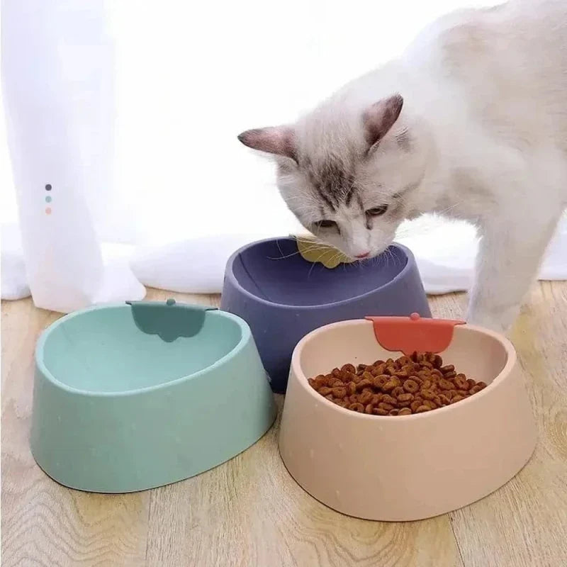 Gamelle Ergonomique Chat - Posture Idéale et Confort
