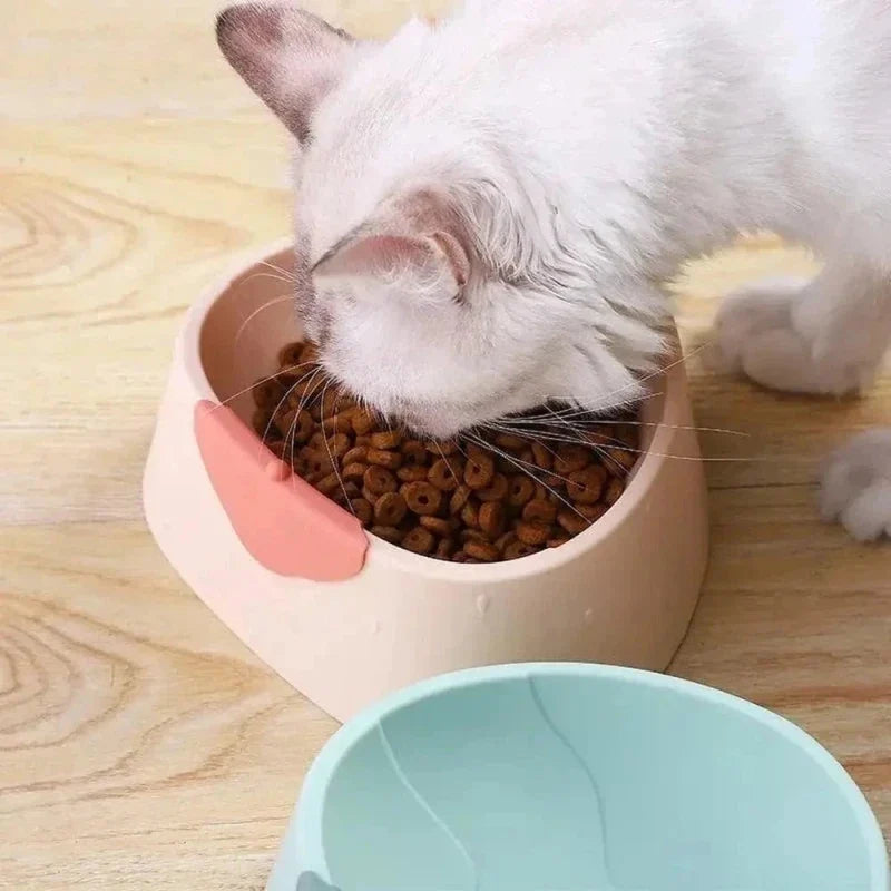 Gamelle Ergonomique Chat - Posture Idéale et Confort