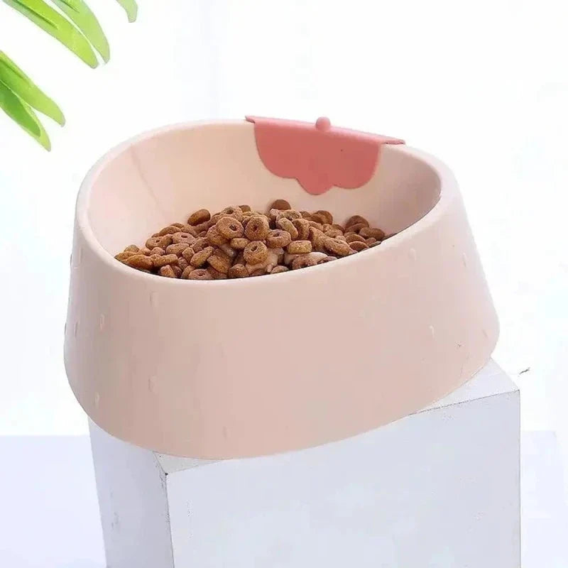 Gamelle Ergonomique Chat - Posture Idéale et Confort