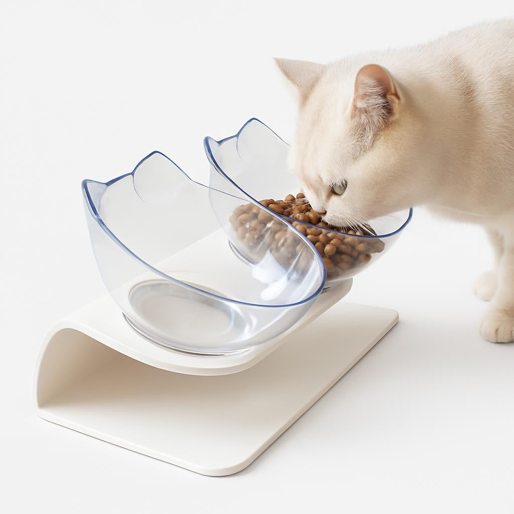 Gamelle Inclinée Chat - Double Bol pour Confort Optimal
