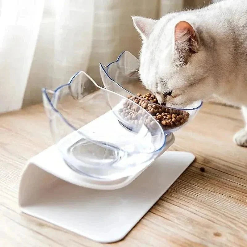 Gamelle Inclinée Chat - Double Bol pour Confort Optimal