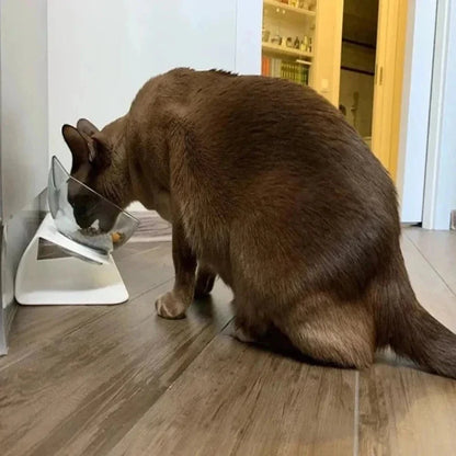 Gamelle Inclinée Chat - Double Bol pour Confort Optimal