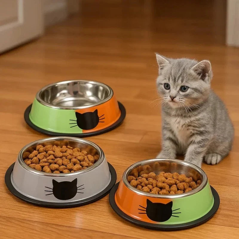 Gamelle Inox Chat - Hygiène et Durabilité