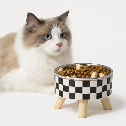 Gamelle surélevée chat - Meilleure digestion