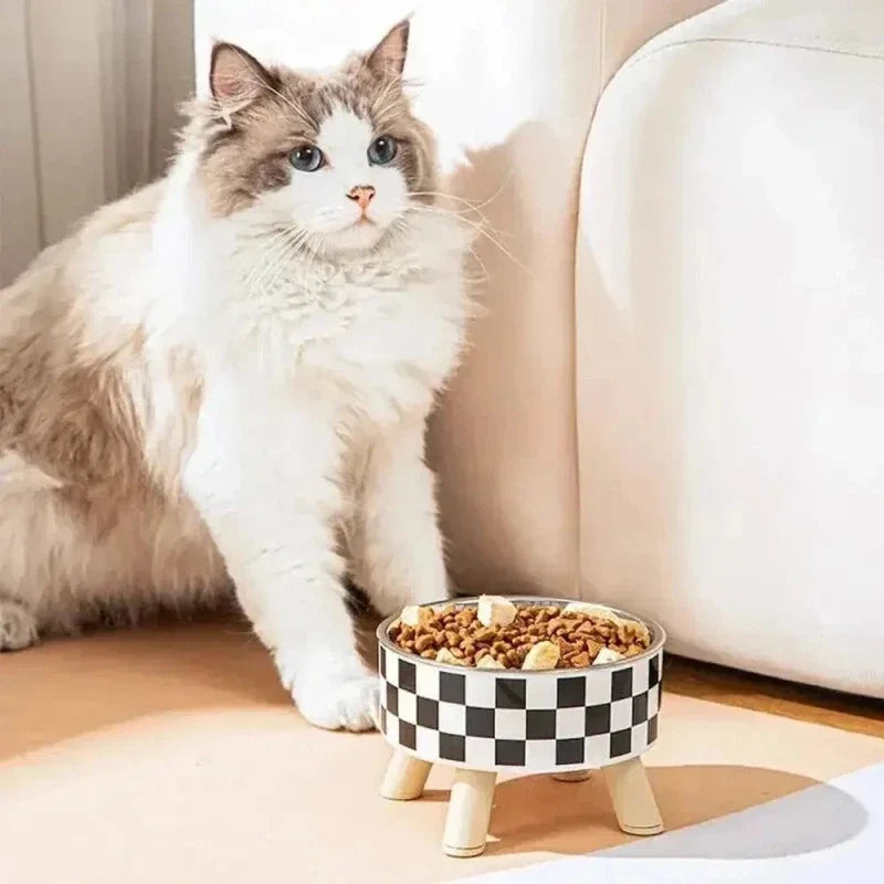 Gamelle surélevée chat - Meilleure digestion