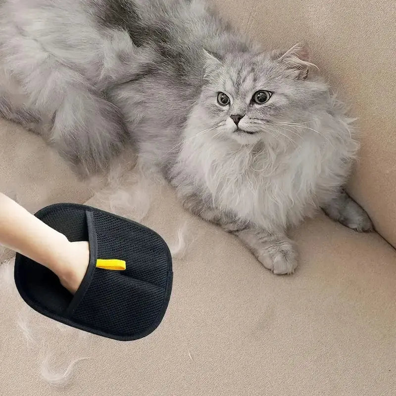 Gant Épilateur Chat - Enlève Poils Sans Effort