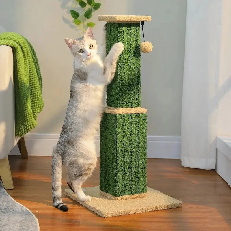 Griffoir Chat Robuste avec Jouet Sisal