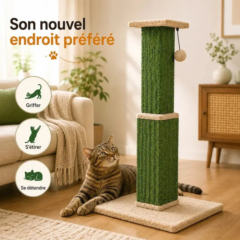 Griffoir Chat Robuste avec Jouet Sisal