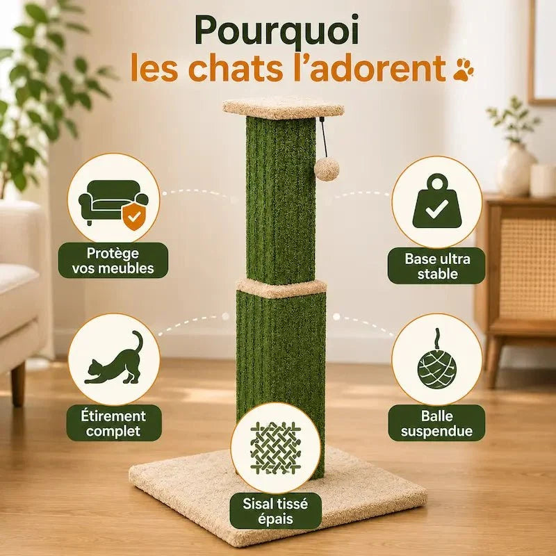 Griffoir Chat Robuste avec Jouet Sisal