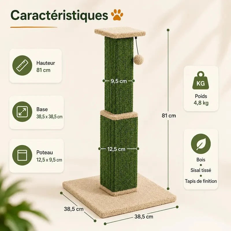 Griffoir Chat Robuste avec Jouet Sisal