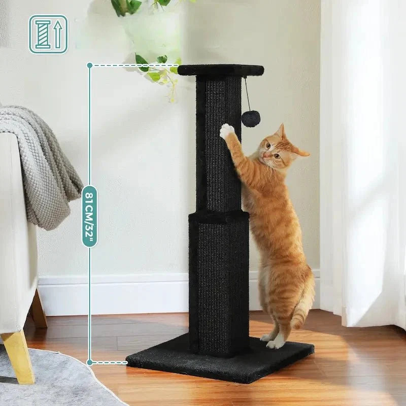 Griffoir Chat Robuste avec Jouet Sisal
