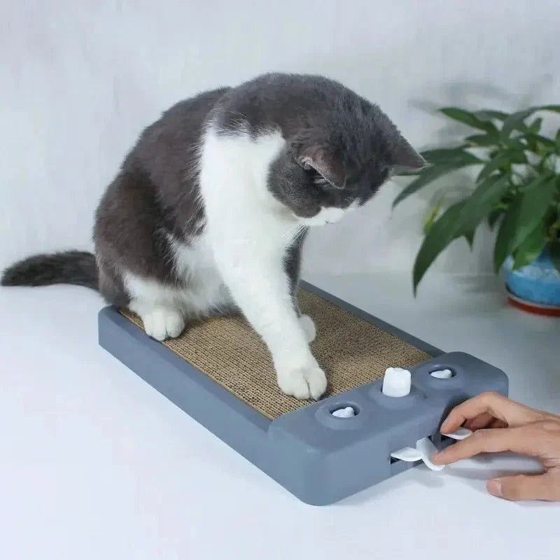 Griffoir Chat Compact - Base Antidérapante