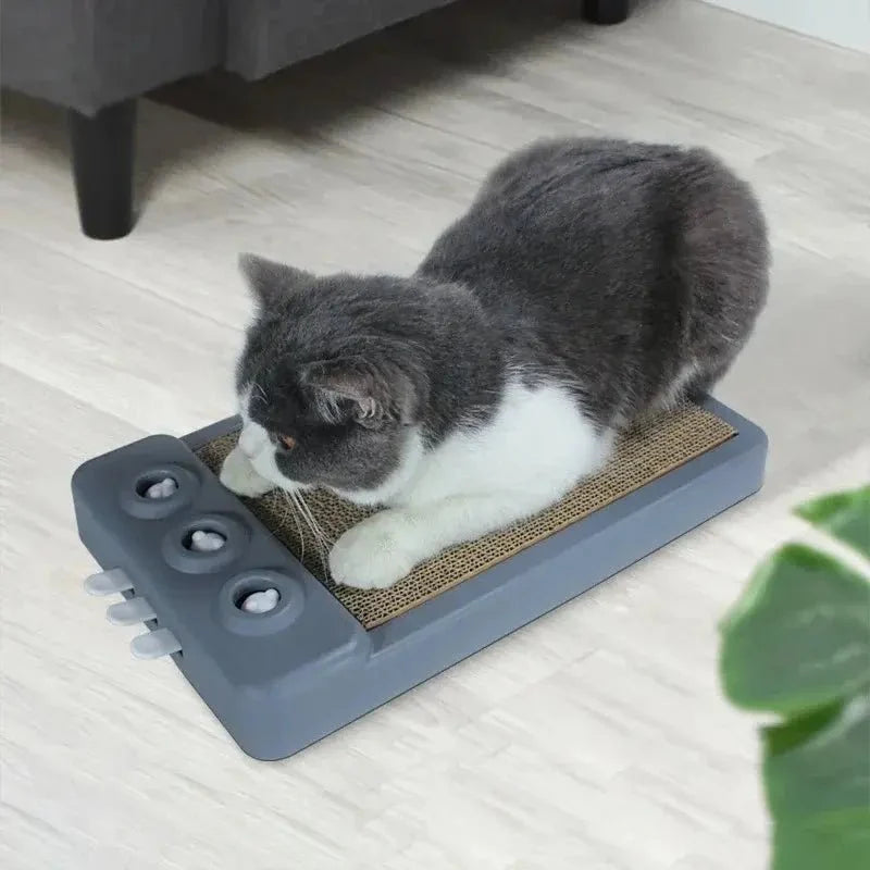 Griffoir Chat Compact - Base Antidérapante