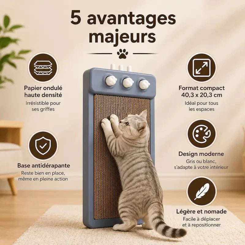 Griffoir Chat Compact - Base Antidérapante