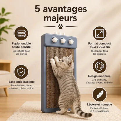 Griffoir Chat Compact - Base Antidérapante