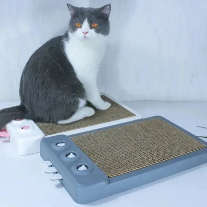 Griffoir Chat Compact - Base Antidérapante
