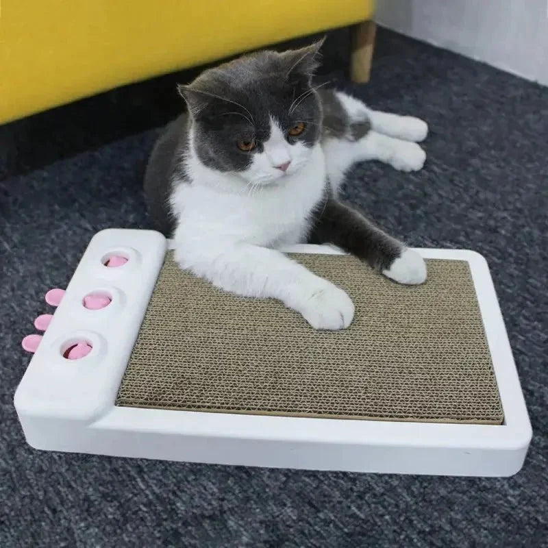 Griffoir Chat Compact - Base Antidérapante