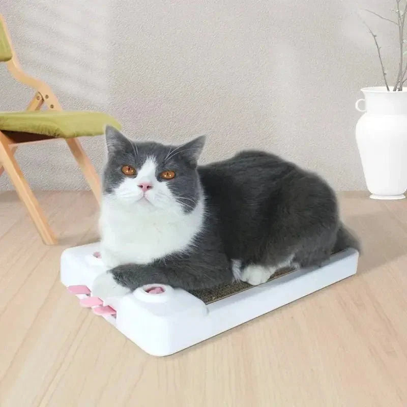 Griffoir Chat Compact - Base Antidérapante