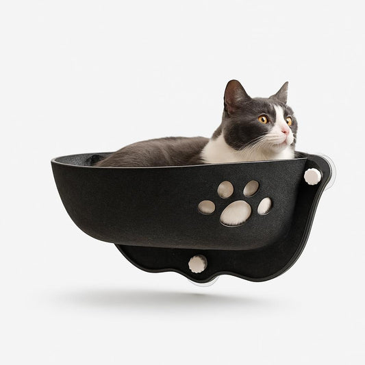 Hamac Fenêtre pour Chat - Vue Panoramique et Confort