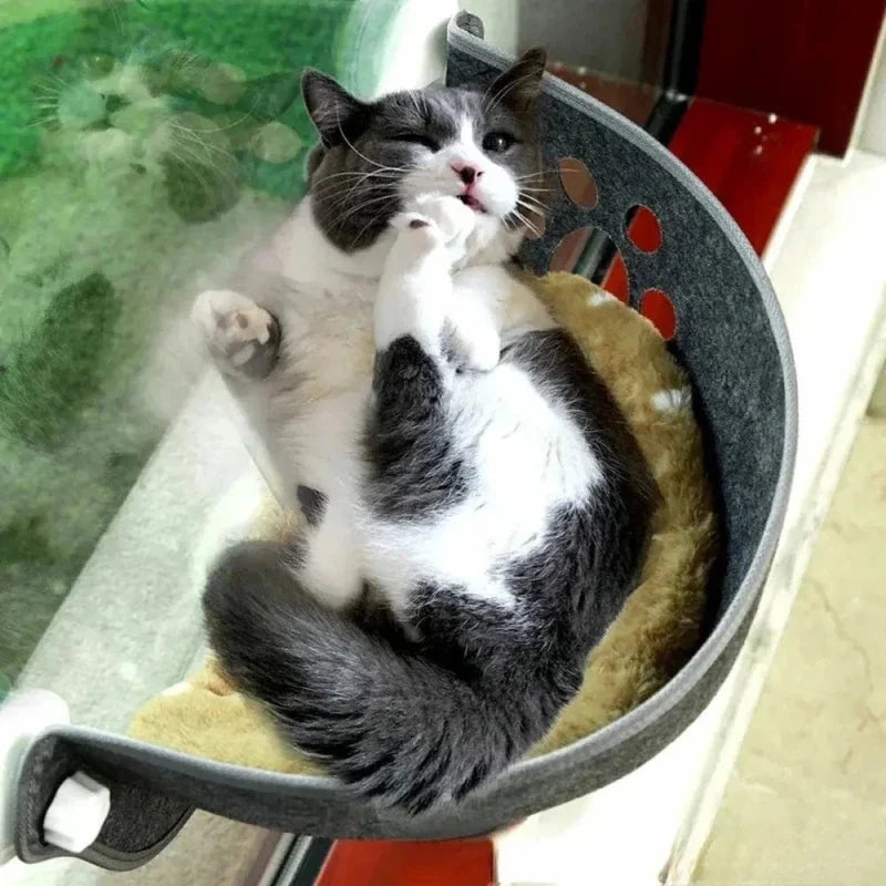 Hamac Fenêtre pour Chat - Vue Panoramique et Confort