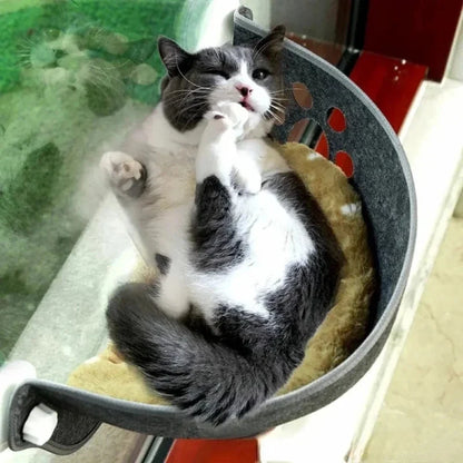 Hamac Fenêtre pour Chat - Vue Panoramique et Confort