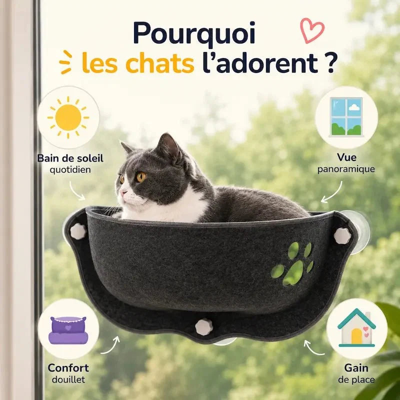 Hamac Fenêtre pour Chat - Vue Panoramique et Confort