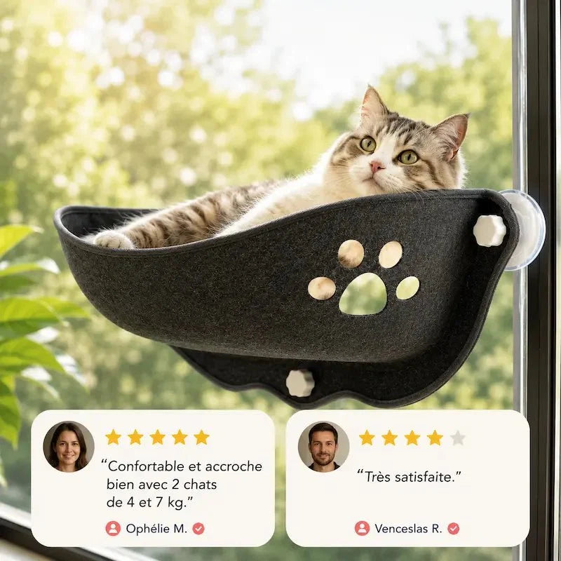 Hamac Fenêtre pour Chat - Vue Panoramique et Confort
