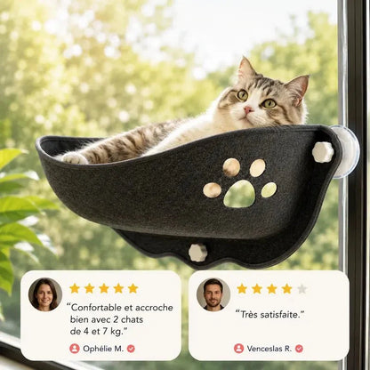 Hamac Fenêtre pour Chat - Vue Panoramique et Confort