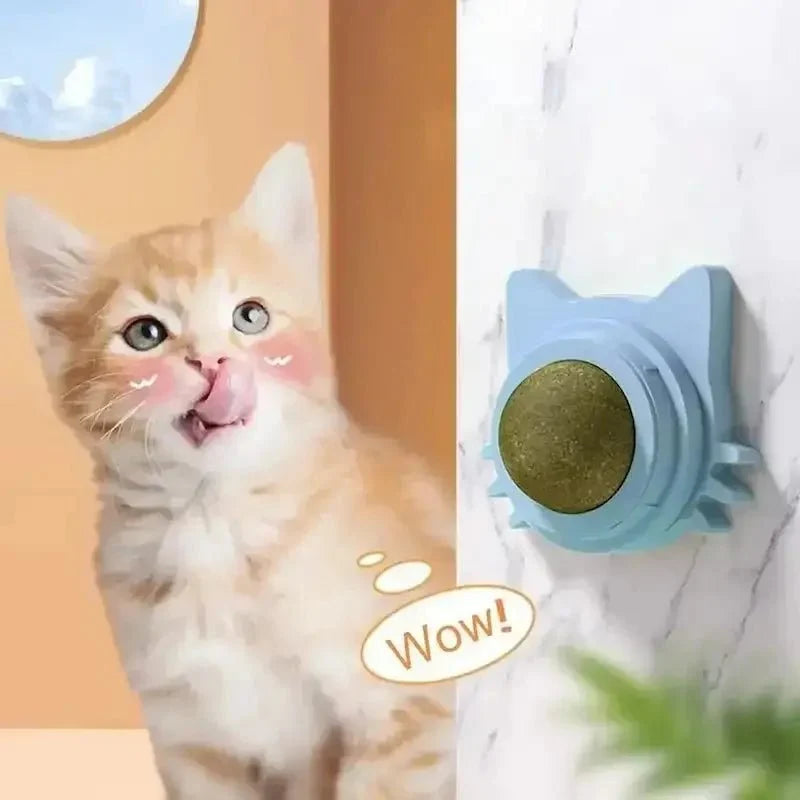Jouet mural herbe à chat - Effet irrésistible
