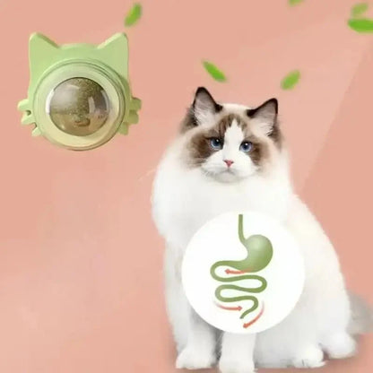 Jouet mural herbe à chat - Effet irrésistible