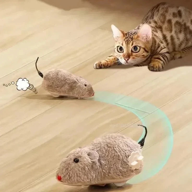 Souris Interactive Automatique pour Chat