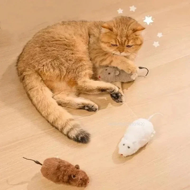 Souris Interactive Automatique pour Chat