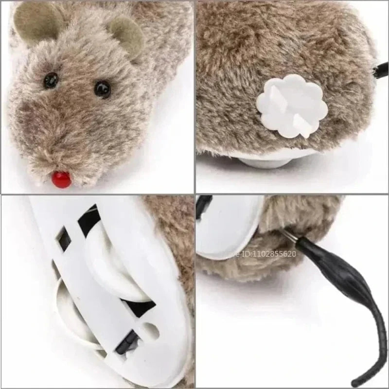 Souris Interactive Automatique pour Chat