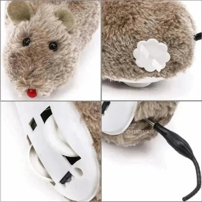 Souris Interactive Automatique pour Chat