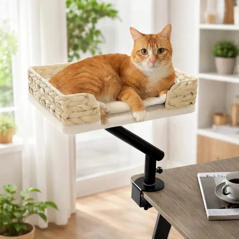 Lit Rotatif pour Chat - Support Bureau 360°