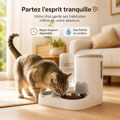 Distributeur Automatique Chat - Gamelle Inox