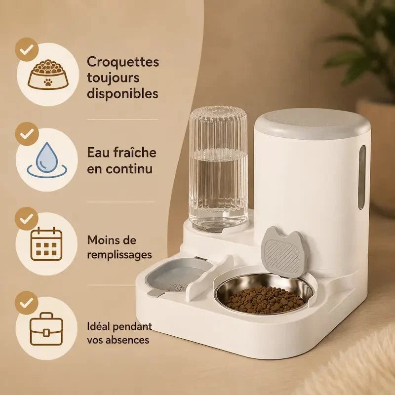Distributeur Automatique Chat - Gamelle Inox