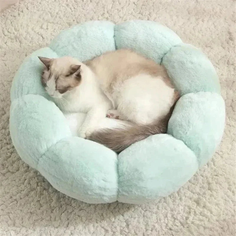 Panier Chat Fleur Confortable et Douillet