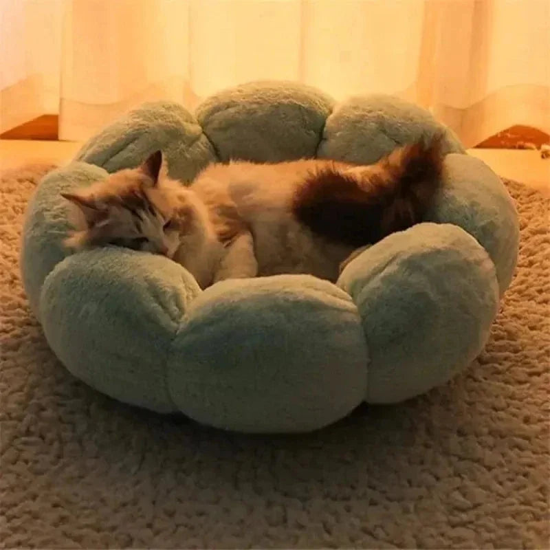 Panier Chat Fleur Confortable et Douillet