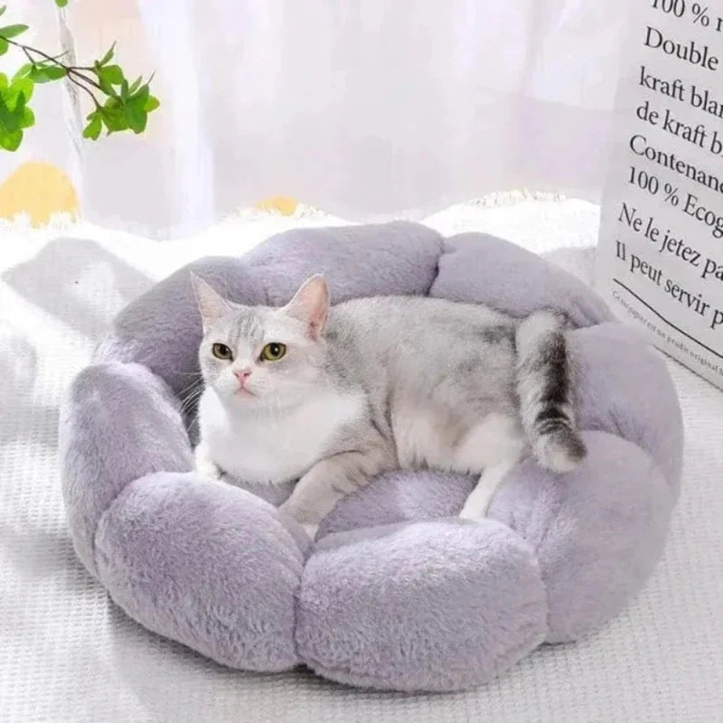 Panier Chat Fleur Confortable et Douillet