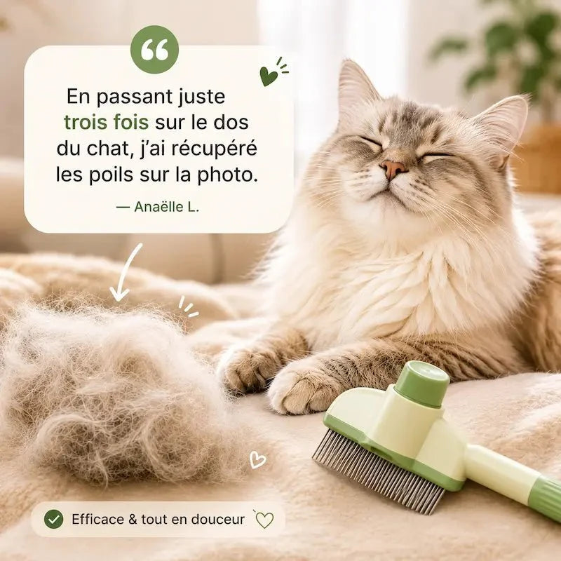 Peigne chat poils longs - Démêlant efficace