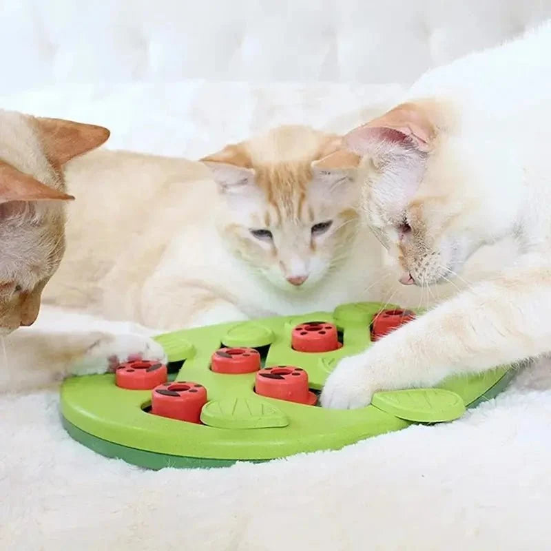 Jouet Intéressant pour Chat - Puzzle Friandises