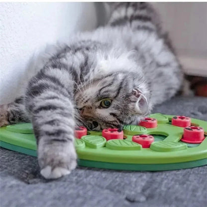 Jouet Intéressant pour Chat - Puzzle Friandises